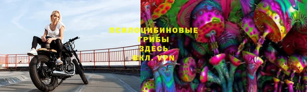 синтетический гашиш Гусиноозёрск