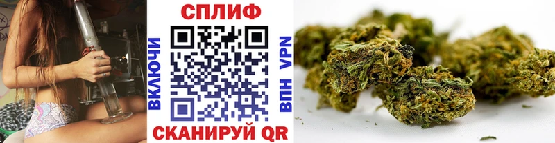 Каннабис MAZAR Новочебоксарск
